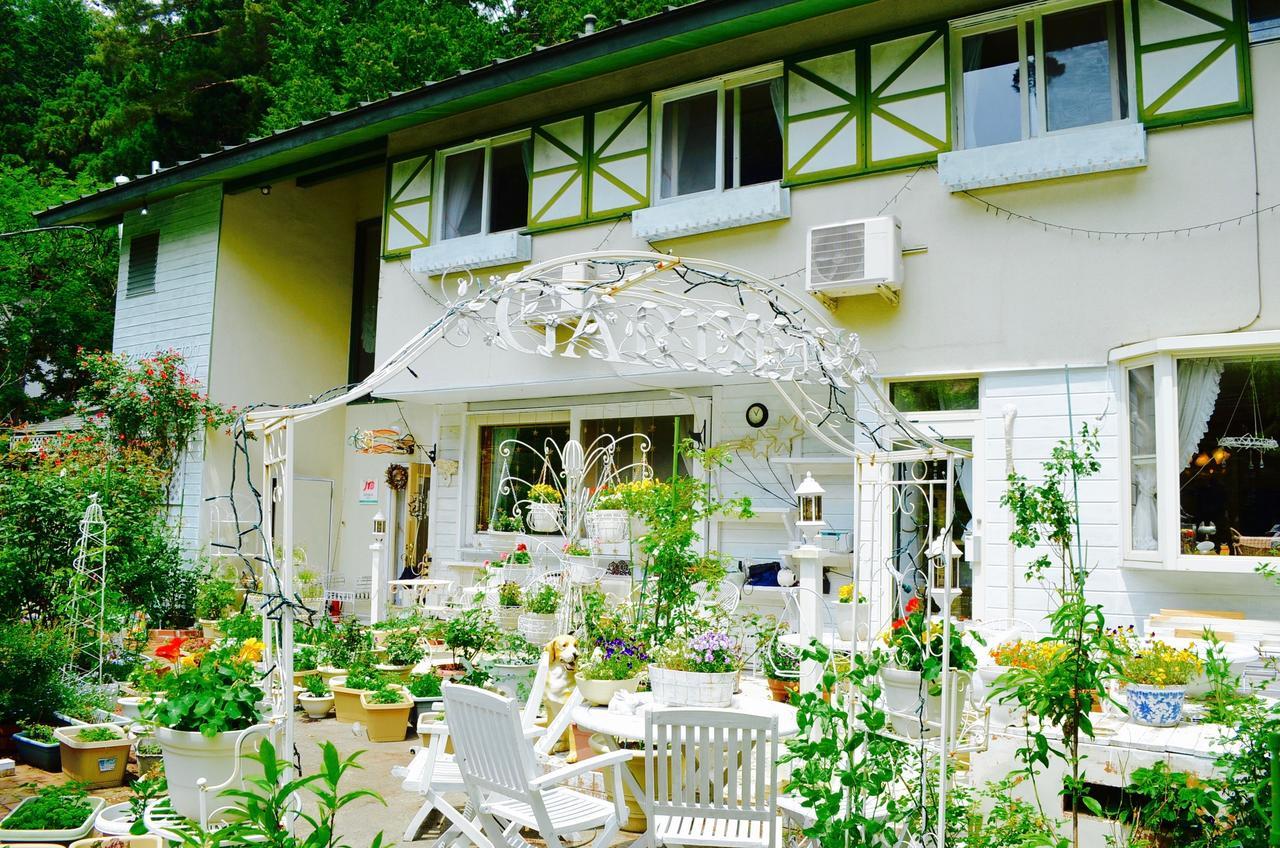 Mt Fuji Cat&Dog&Spa Pension Blue Poppy Fujikawaguchiko Exteriör bild