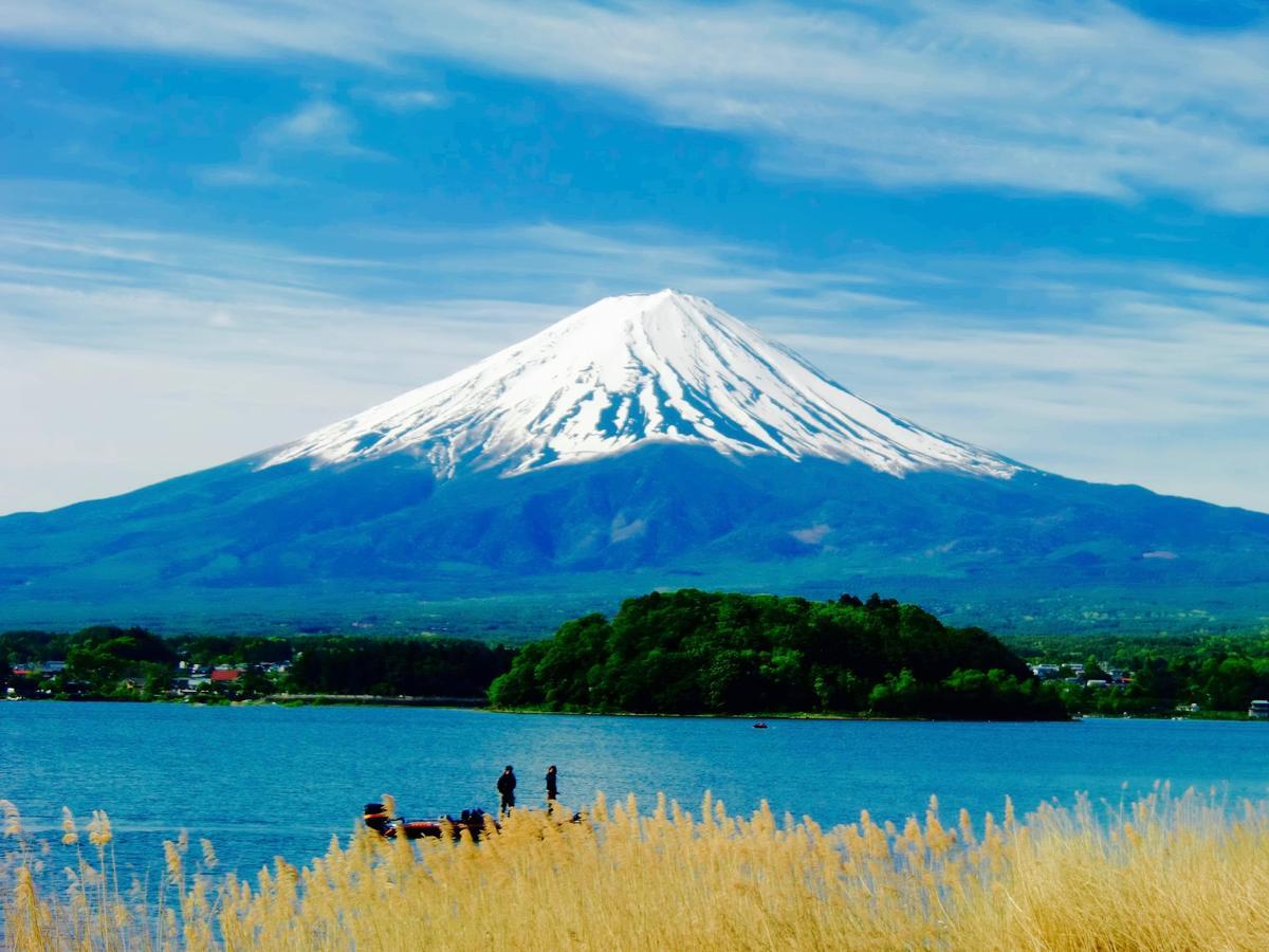 Mt Fuji Cat&Dog&Spa Pension Blue Poppy Fujikawaguchiko Exteriör bild