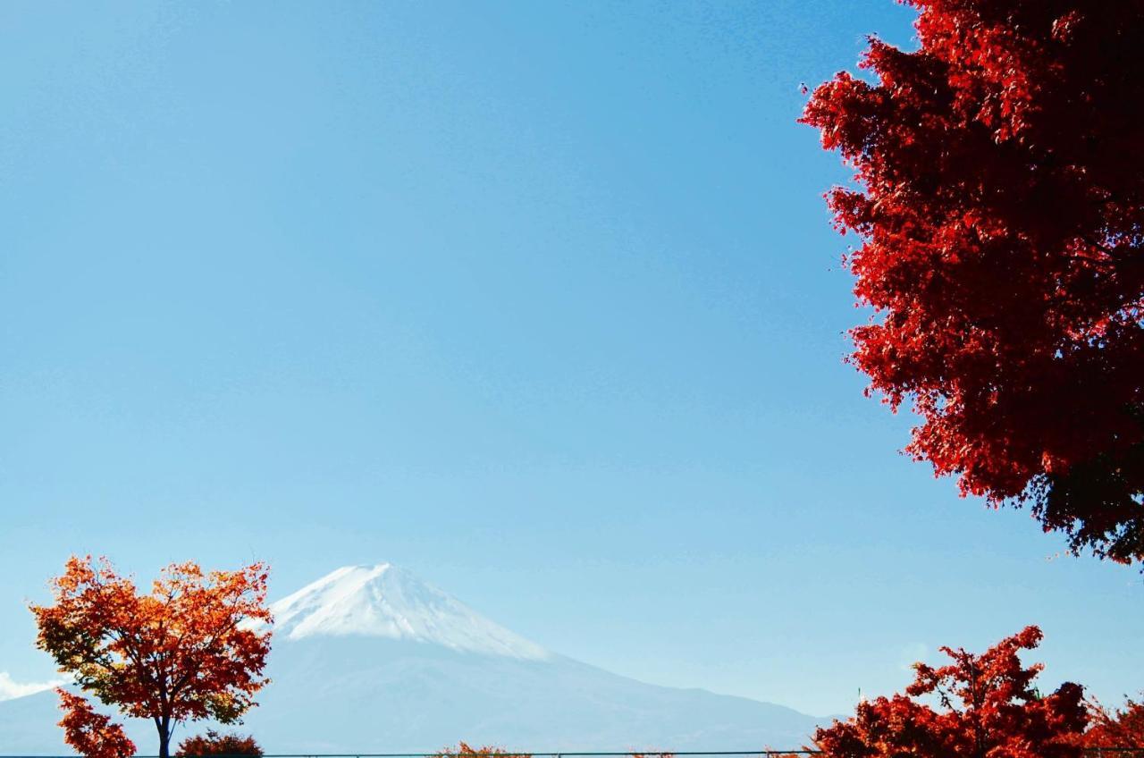 Mt Fuji Cat&Dog&Spa Pension Blue Poppy Fujikawaguchiko Exteriör bild