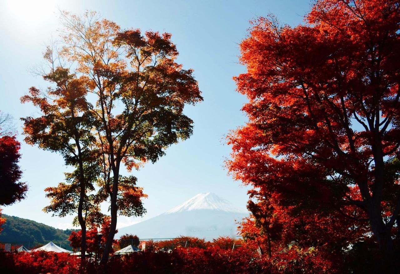 Mt Fuji Cat&Dog&Spa Pension Blue Poppy Fujikawaguchiko Exteriör bild