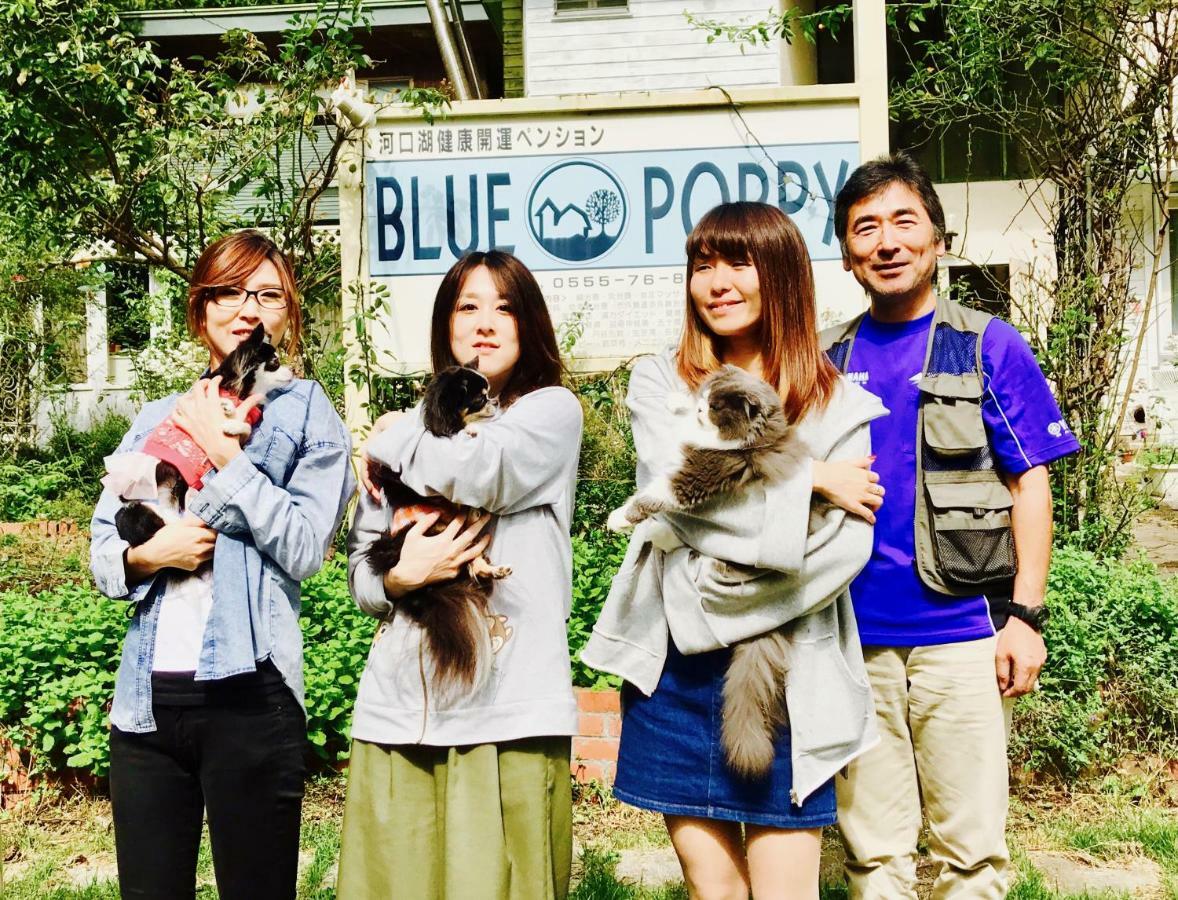 Mt Fuji Cat&Dog&Spa Pension Blue Poppy Fujikawaguchiko Exteriör bild