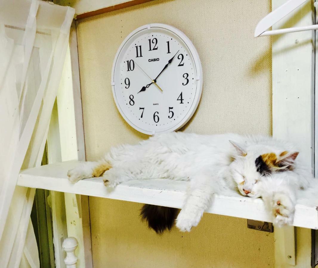 Mt Fuji Cat&Dog&Spa Pension Blue Poppy Fujikawaguchiko Exteriör bild