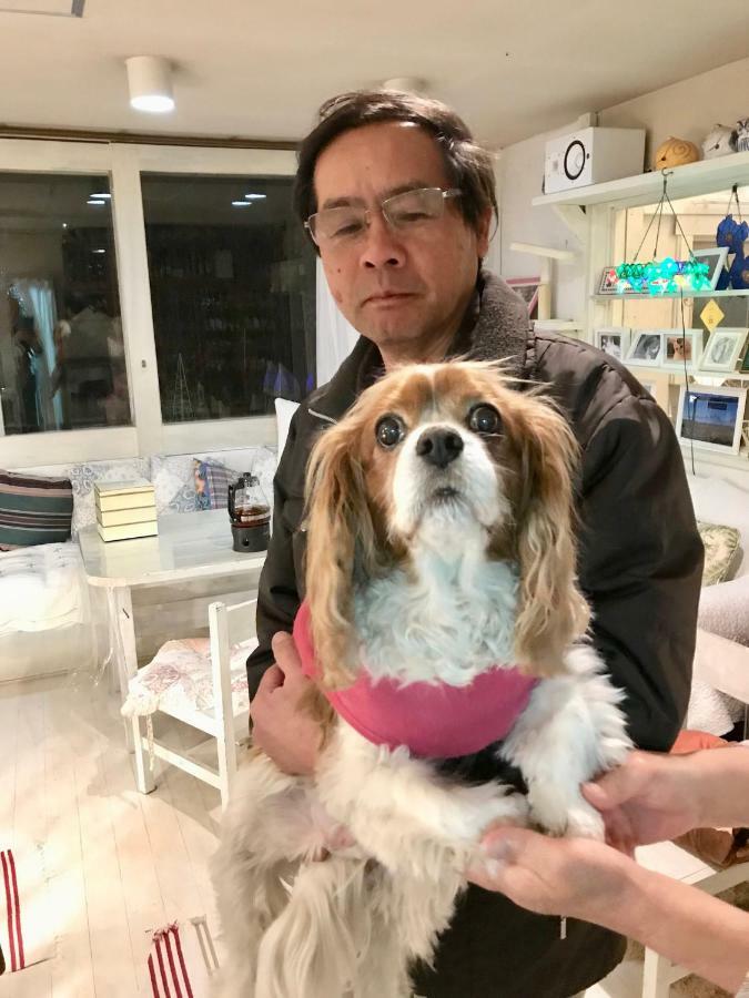 Mt Fuji Cat&Dog&Spa Pension Blue Poppy Fujikawaguchiko Exteriör bild