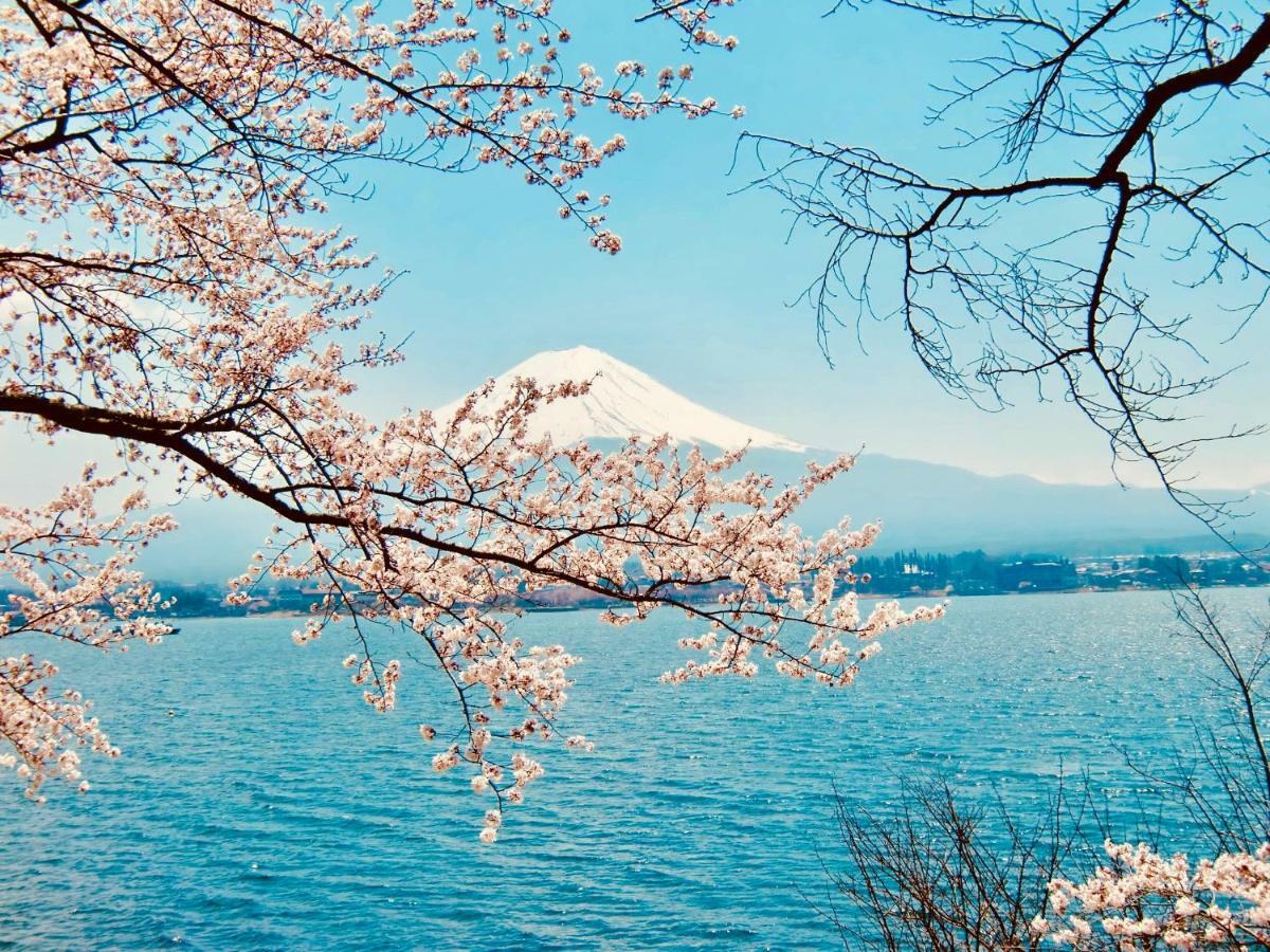 Mt Fuji Cat&Dog&Spa Pension Blue Poppy Fujikawaguchiko Exteriör bild
