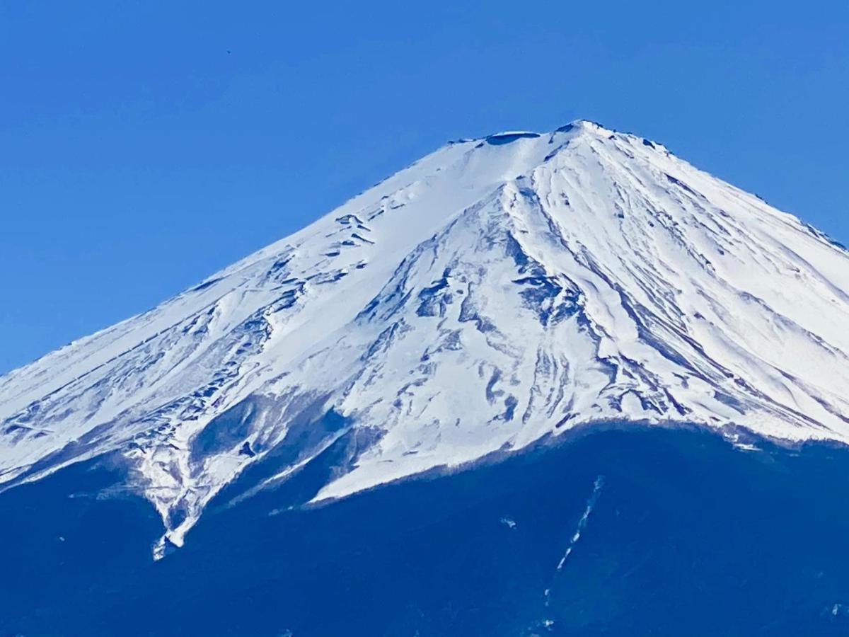 Mt Fuji Cat&Dog&Spa Pension Blue Poppy Fujikawaguchiko Exteriör bild